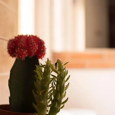 Konukevi Europe Station