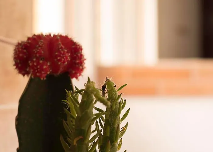 Gasthuis Europe Station